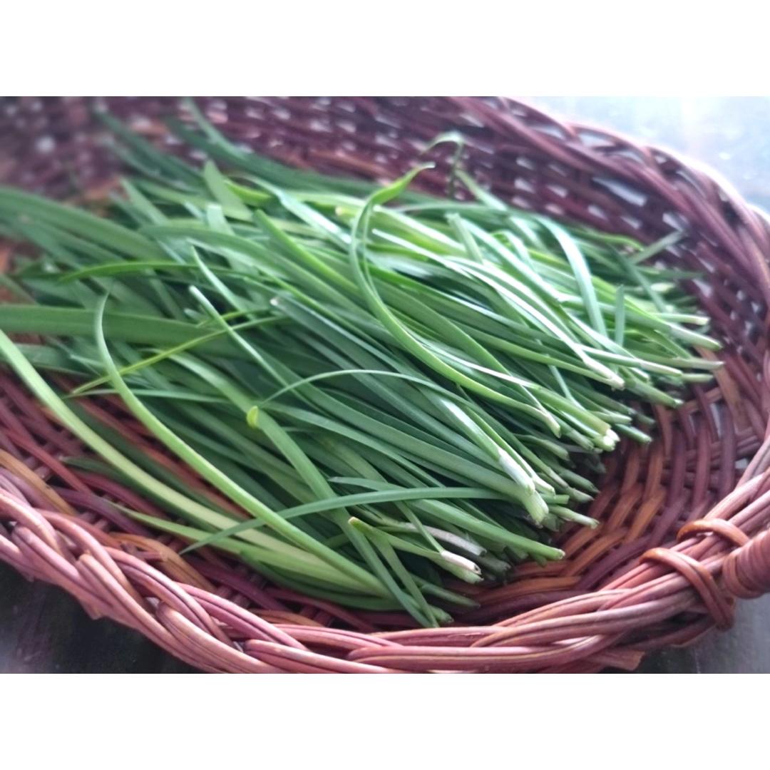 瓜果蔬菜养成记