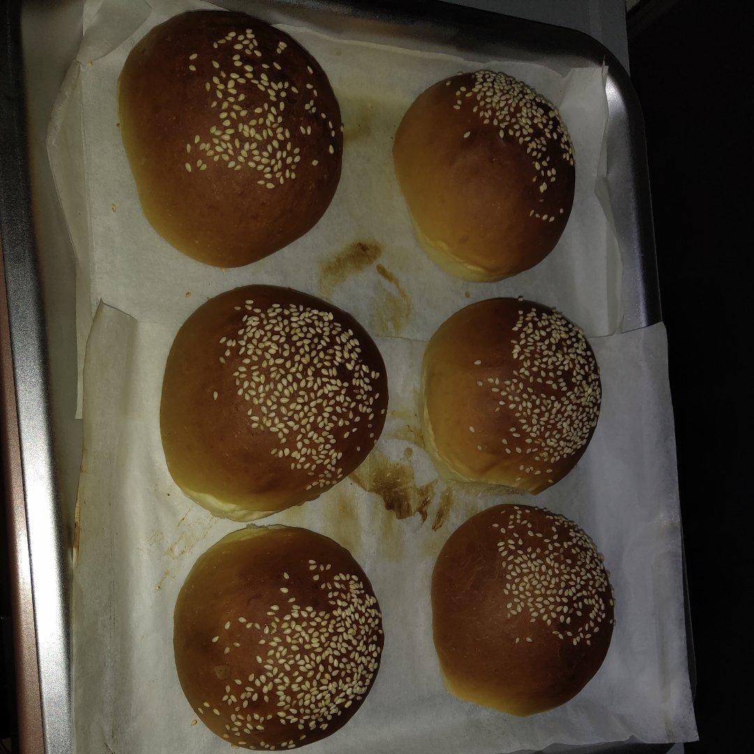 汉堡胚 poolish（波兰种）