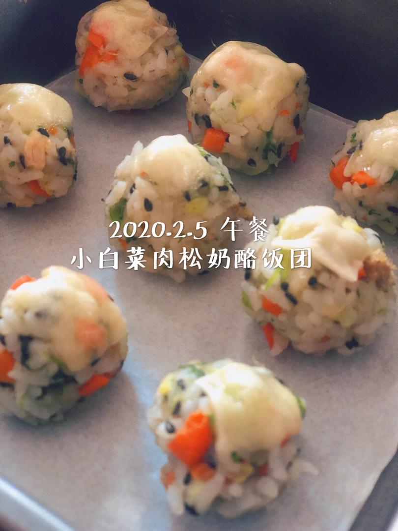 芝士就是力量【芝士肉松小饭团】