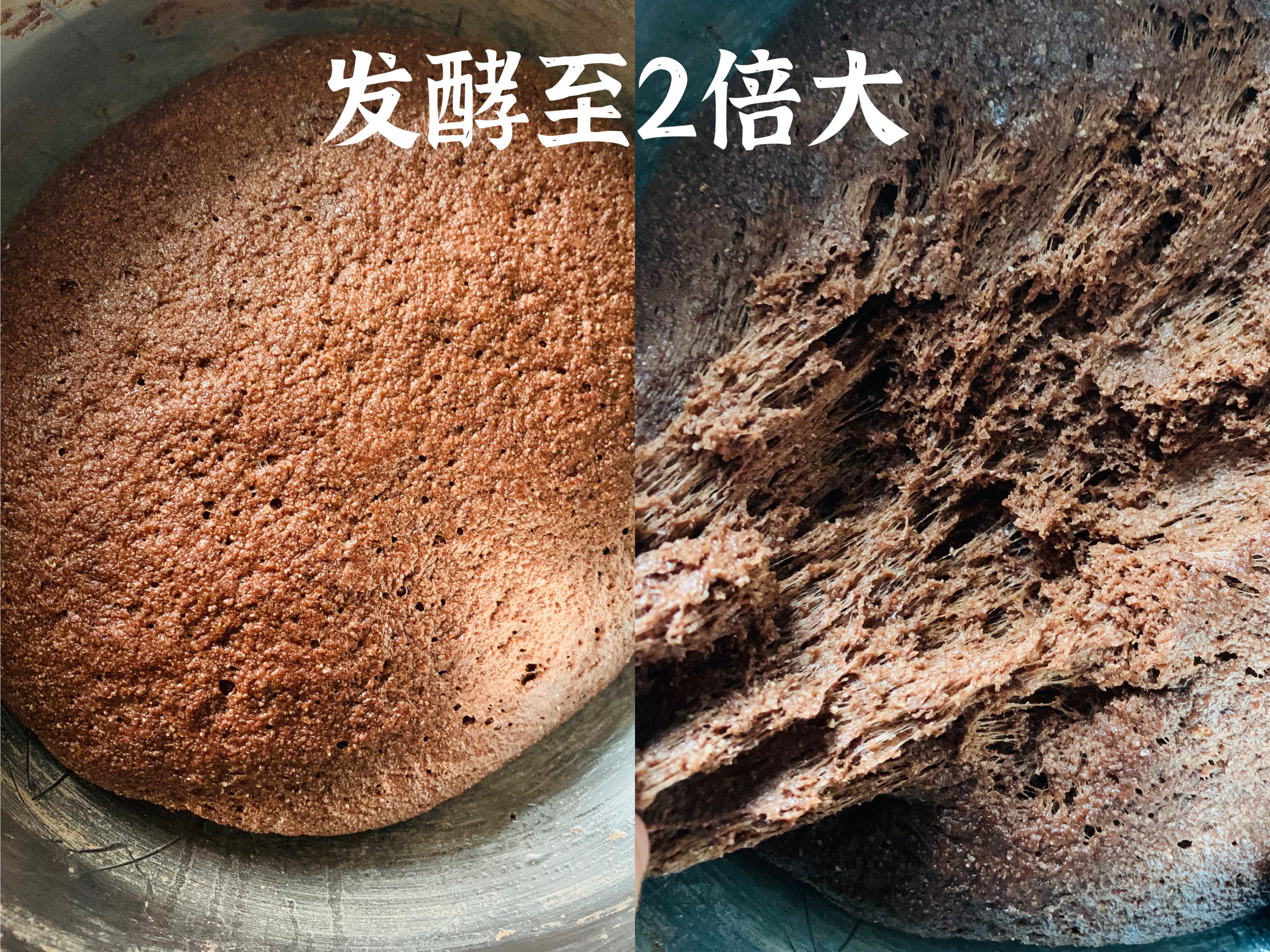 黑全麦可可夹心糙软面包（免揉+不加糖）的做法 步骤2