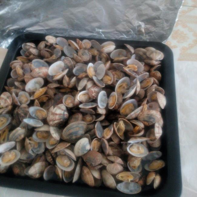 铁板蛤蜊烤箱版的做法
