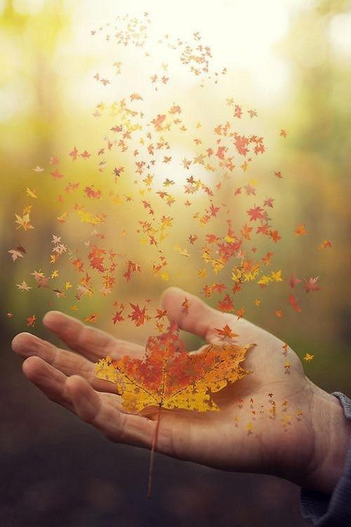 慢步人生路-的美食