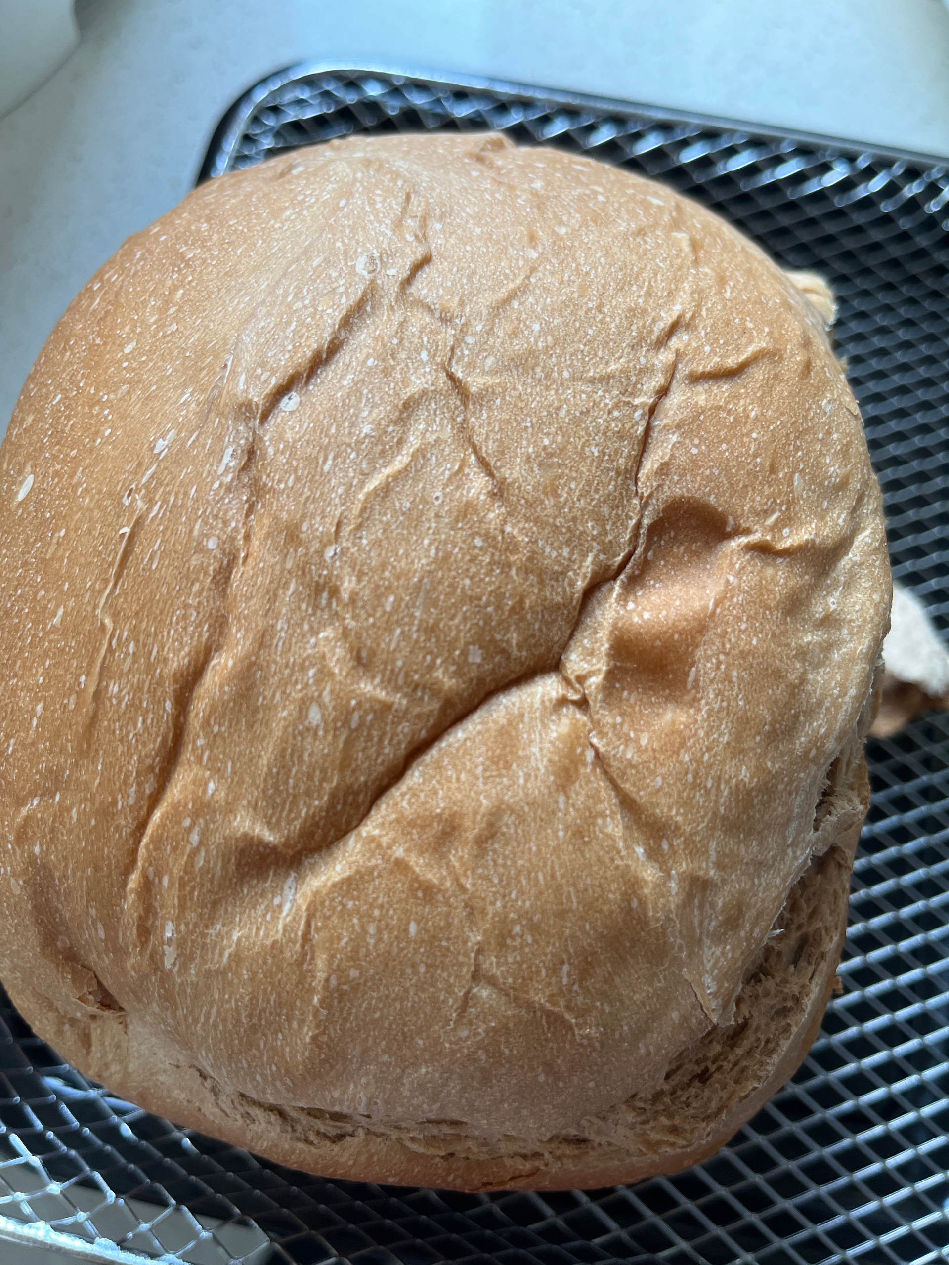 初学者零失误北美ACA面包机做面包