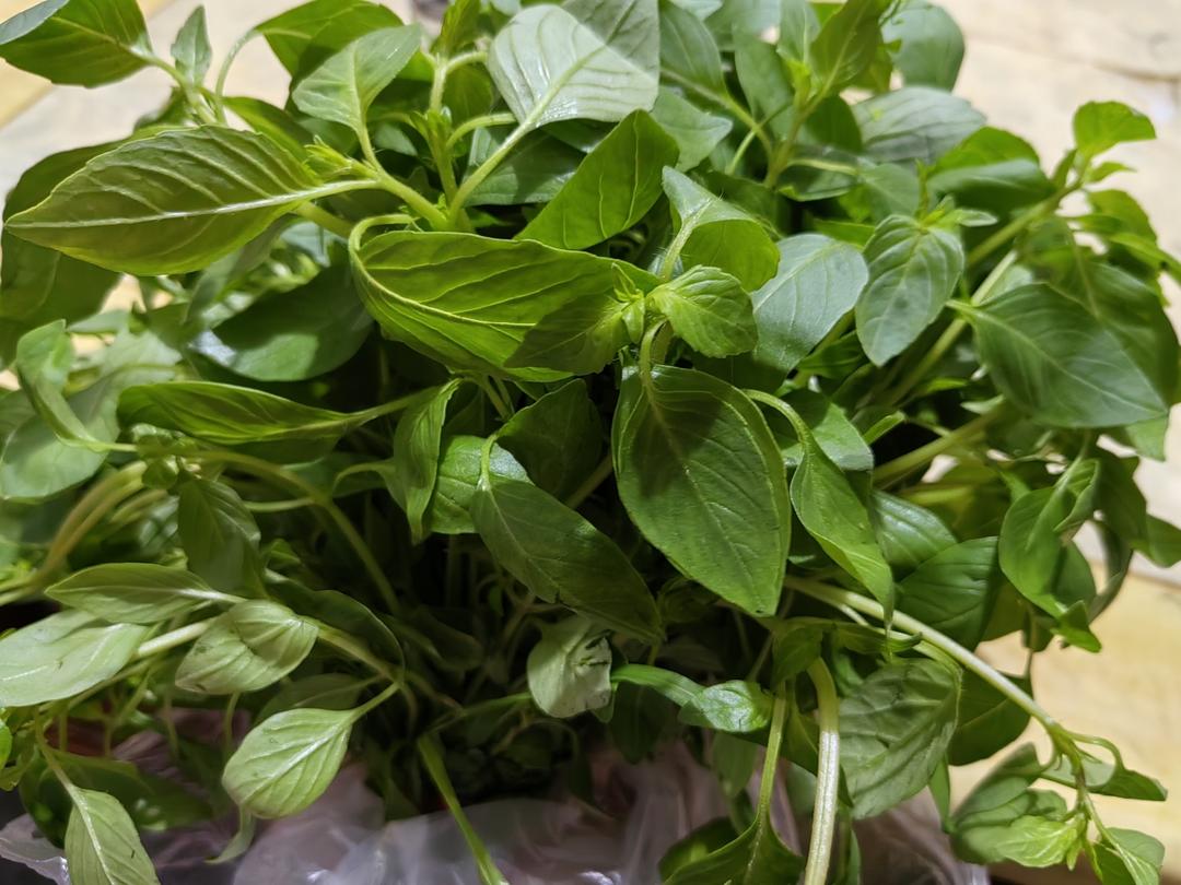 2026年的美食记录与分享