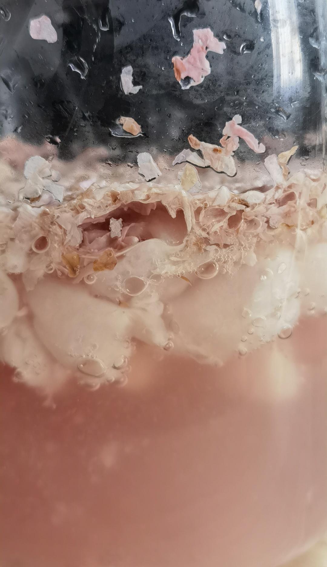 独家|视频版玫瑰荔枝酵液吐司