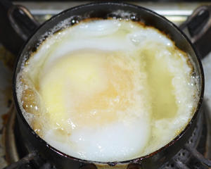 煎鹅蛋-不腥气，营养高，五分钟就能吃上的高颜值蛋蛋～的做法 步骤5
