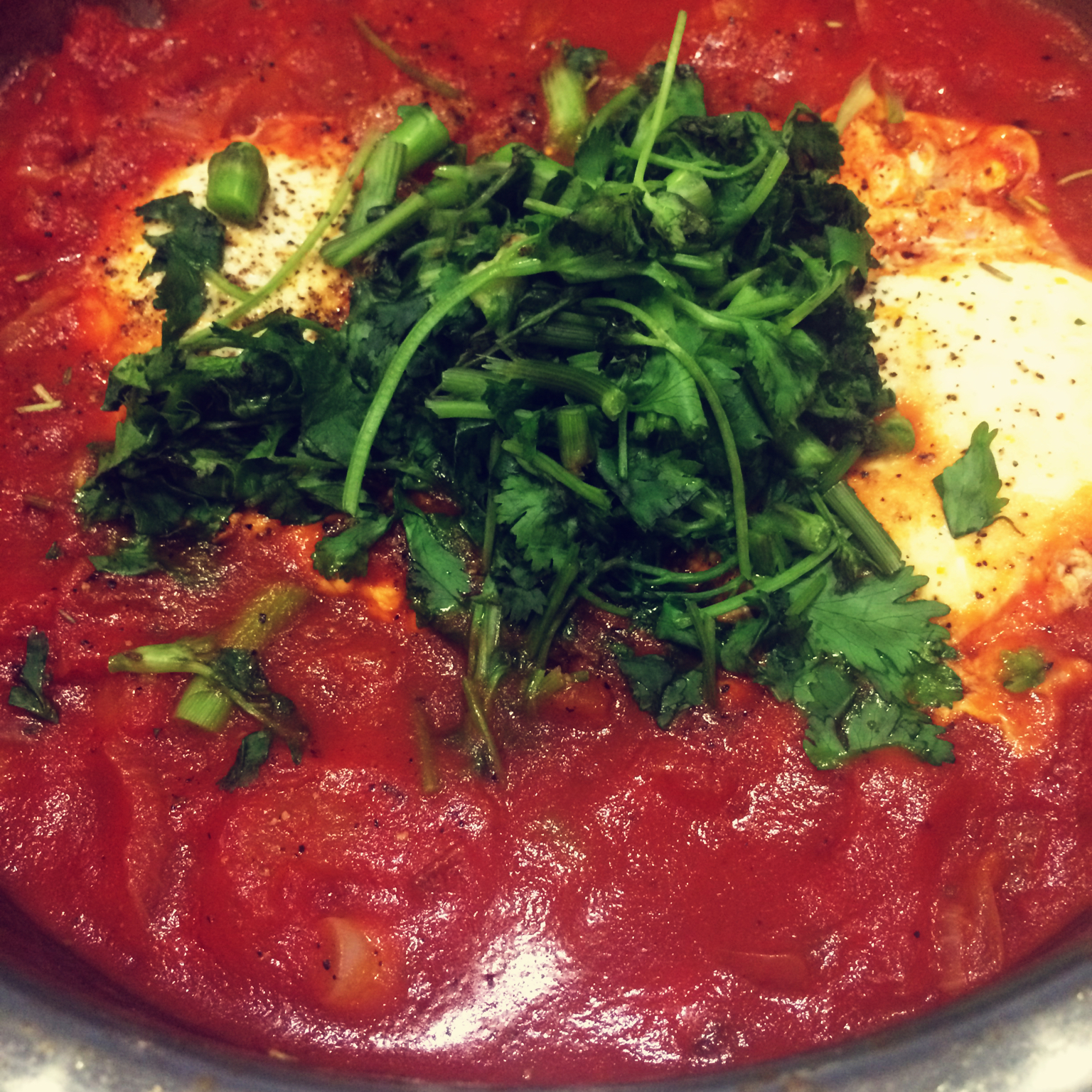 番茄炖蛋 Egg in Tomato Sauce