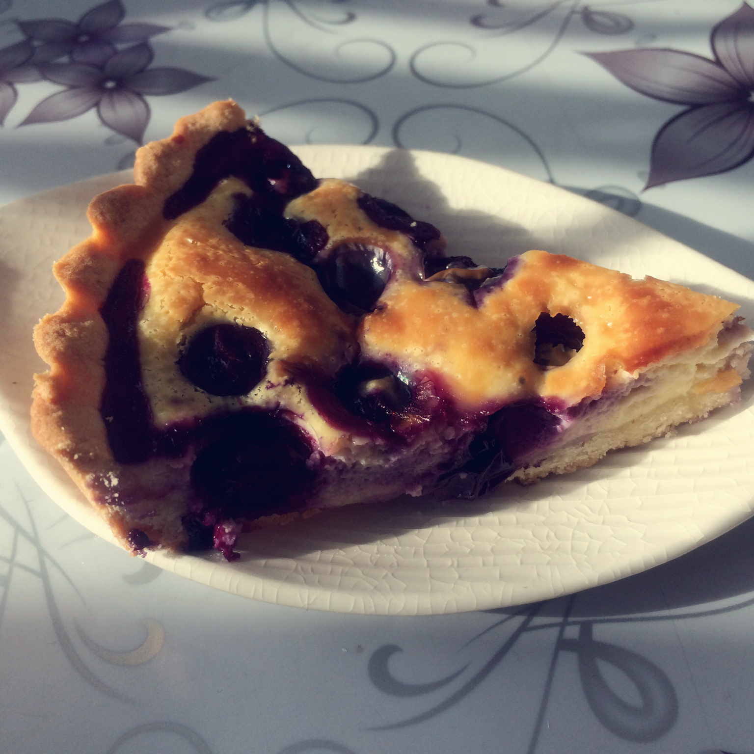 蓝莓乳酪派