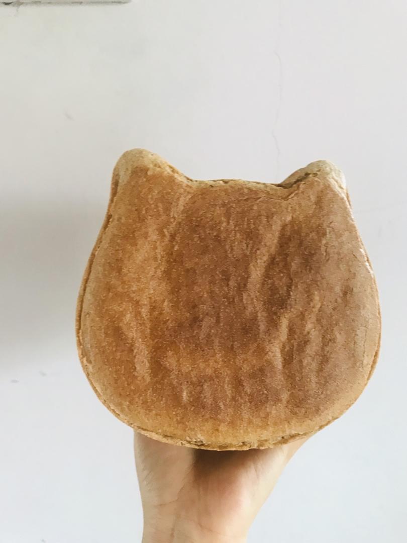 酸奶黑麦吐司 70%黑麦直接法 日本猫吐司模通用450g土司盒配方