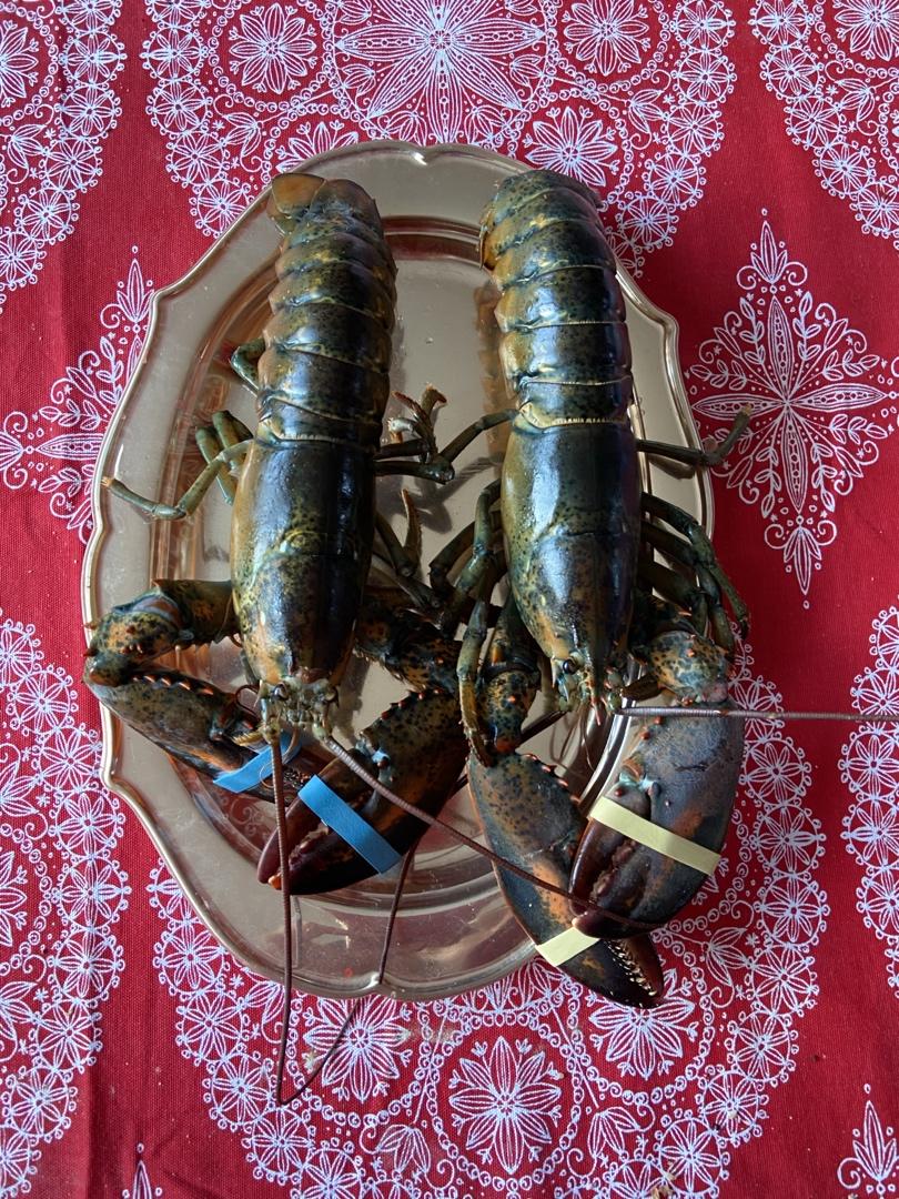 意式小龙虾🦞面条