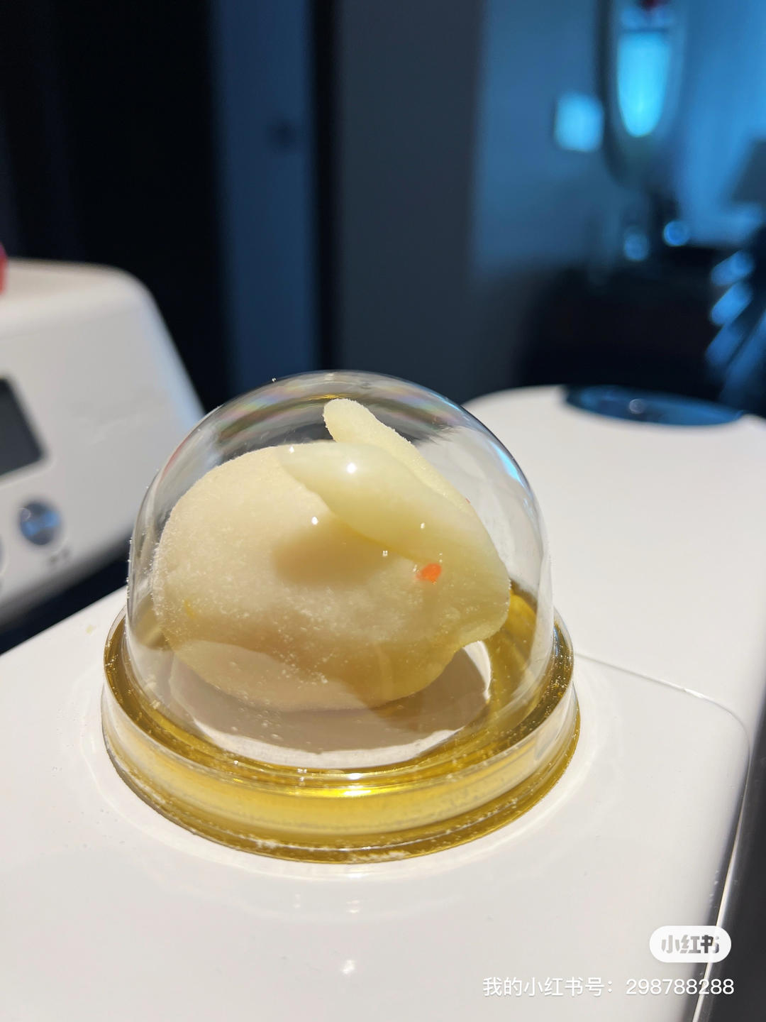 【冰皮玉兔】举头望明月，低头吃玉兔！