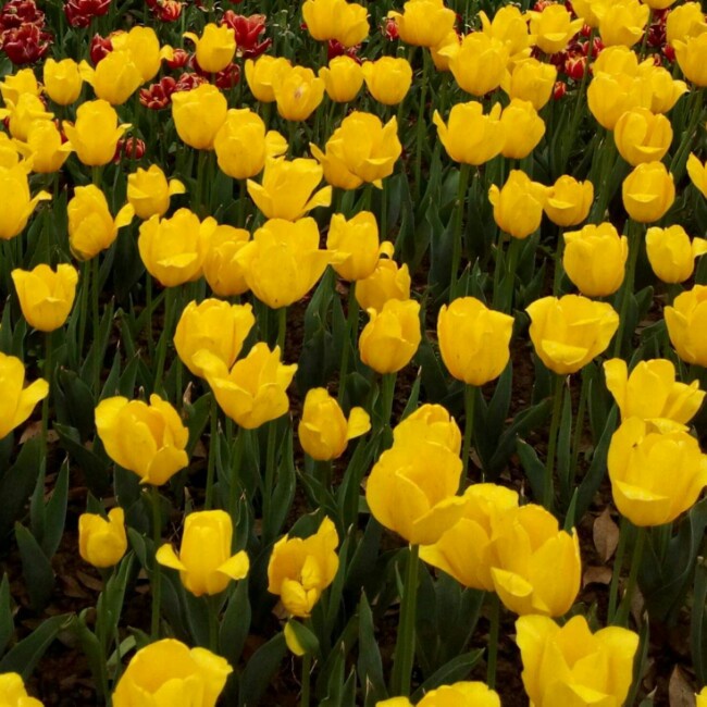 无言的结局爱旅行