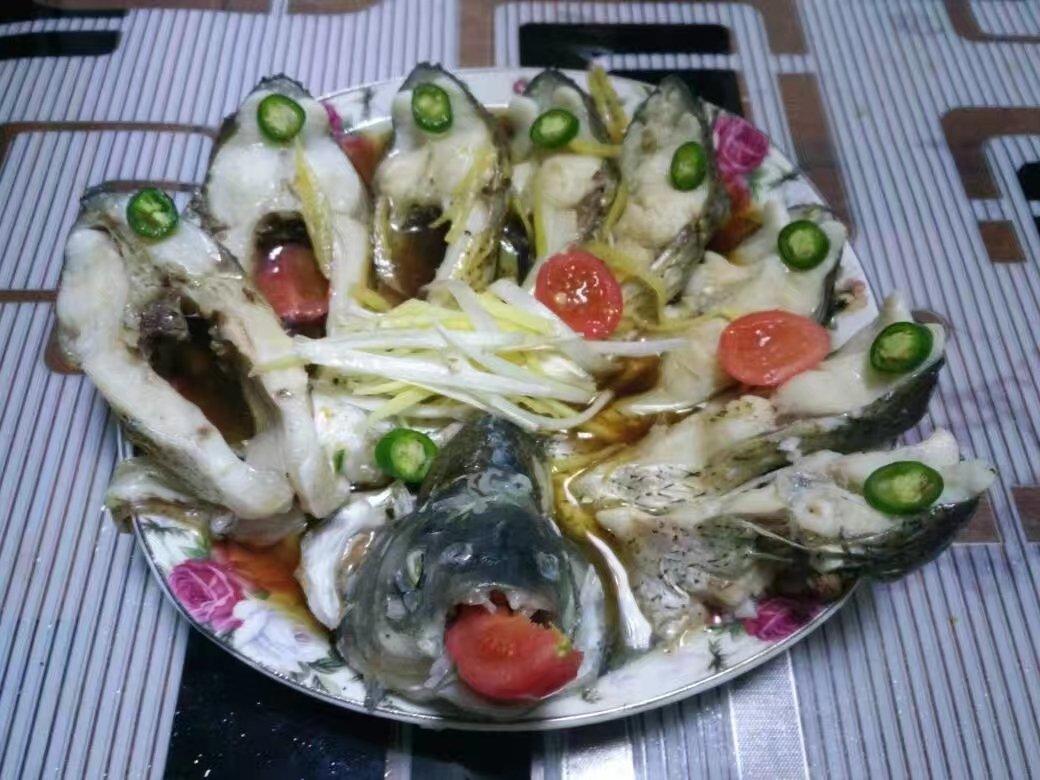 孔雀开屏鱼