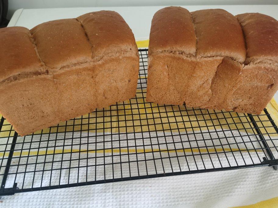 100%全麦吐司-你为啥要吃全麦粉？