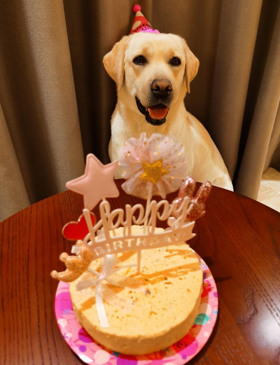 狗狗生日蛋糕（纯天然无色素无面粉）