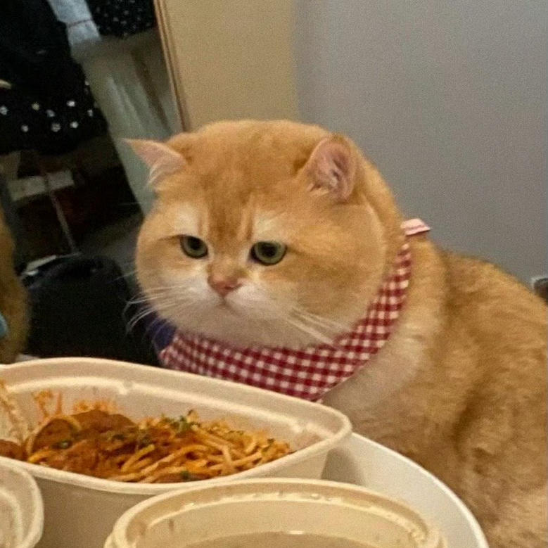 喜欢今天