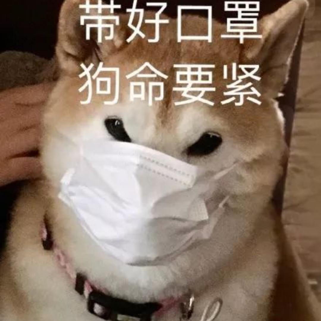 美辰鸭