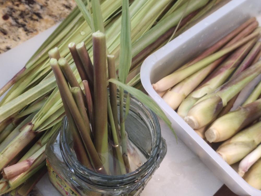 熊熊白白-无限循环的香茅/柠檬草的做法 步骤4