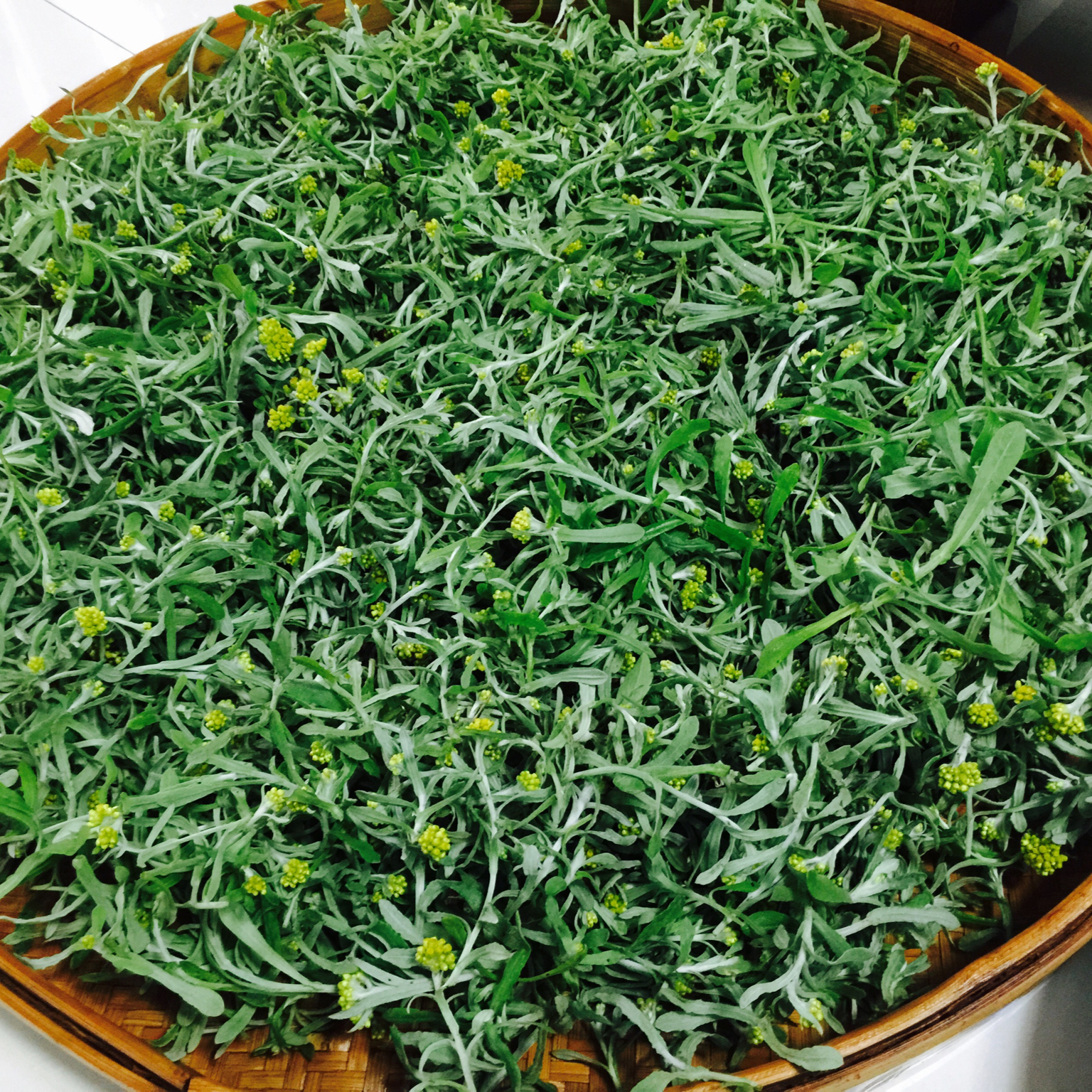 手机用户0206tydv做的清明果