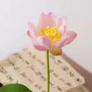 哈哈美食汇的厨房