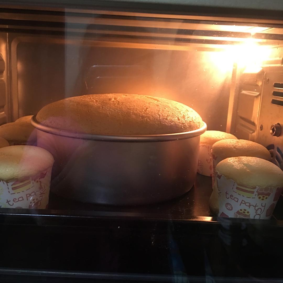 雪纺蛋糕（简易 水浴戚风 蛋糕卷 慕斯蛋糕胚）