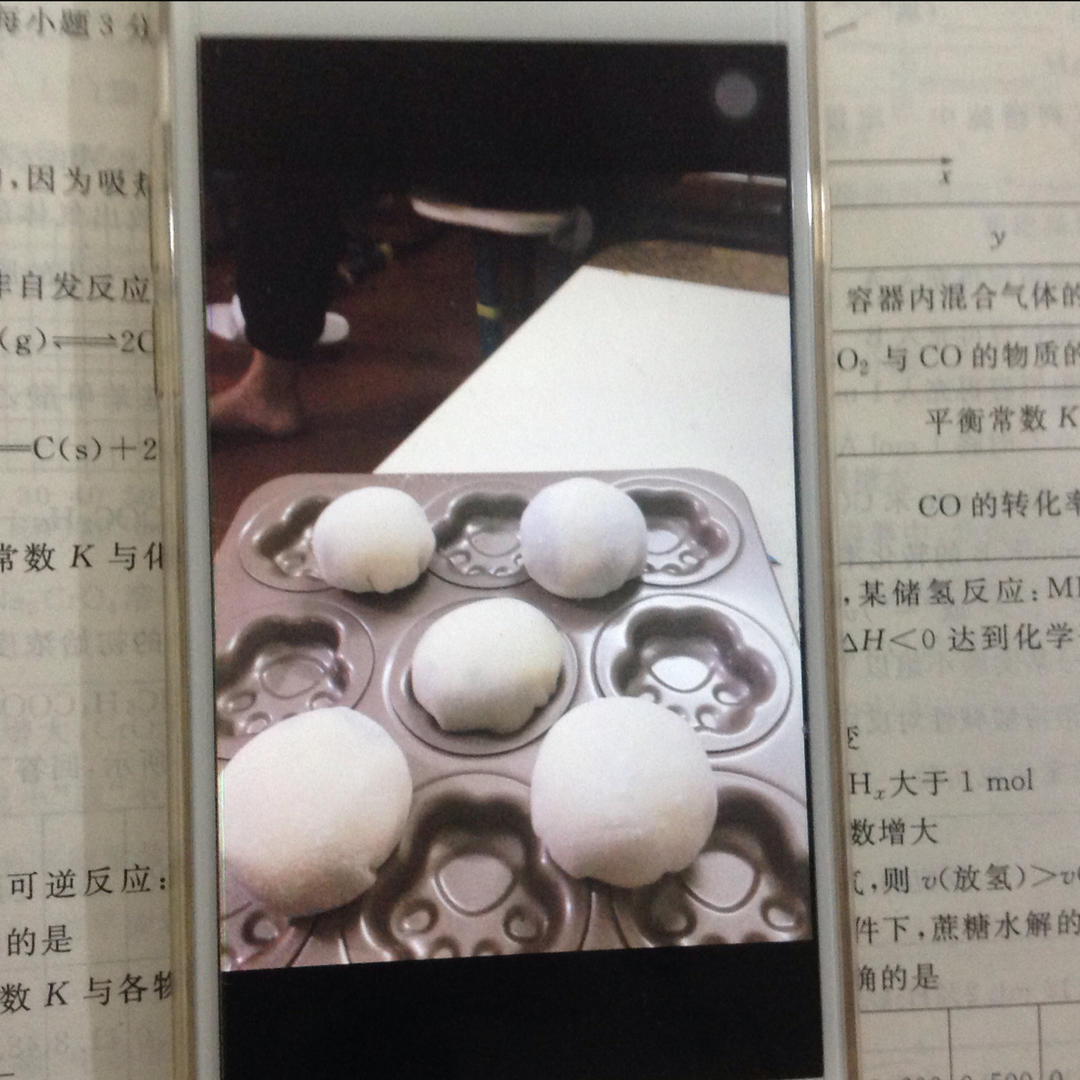 腹黑白胖子——奥利奥雪媚娘