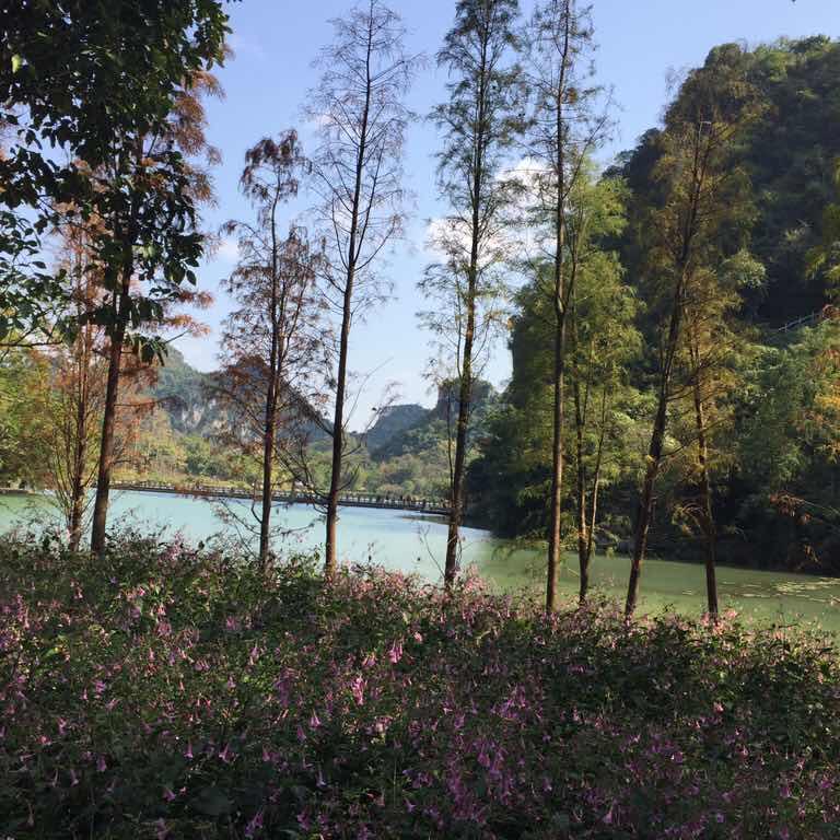 懒的下厨房的我