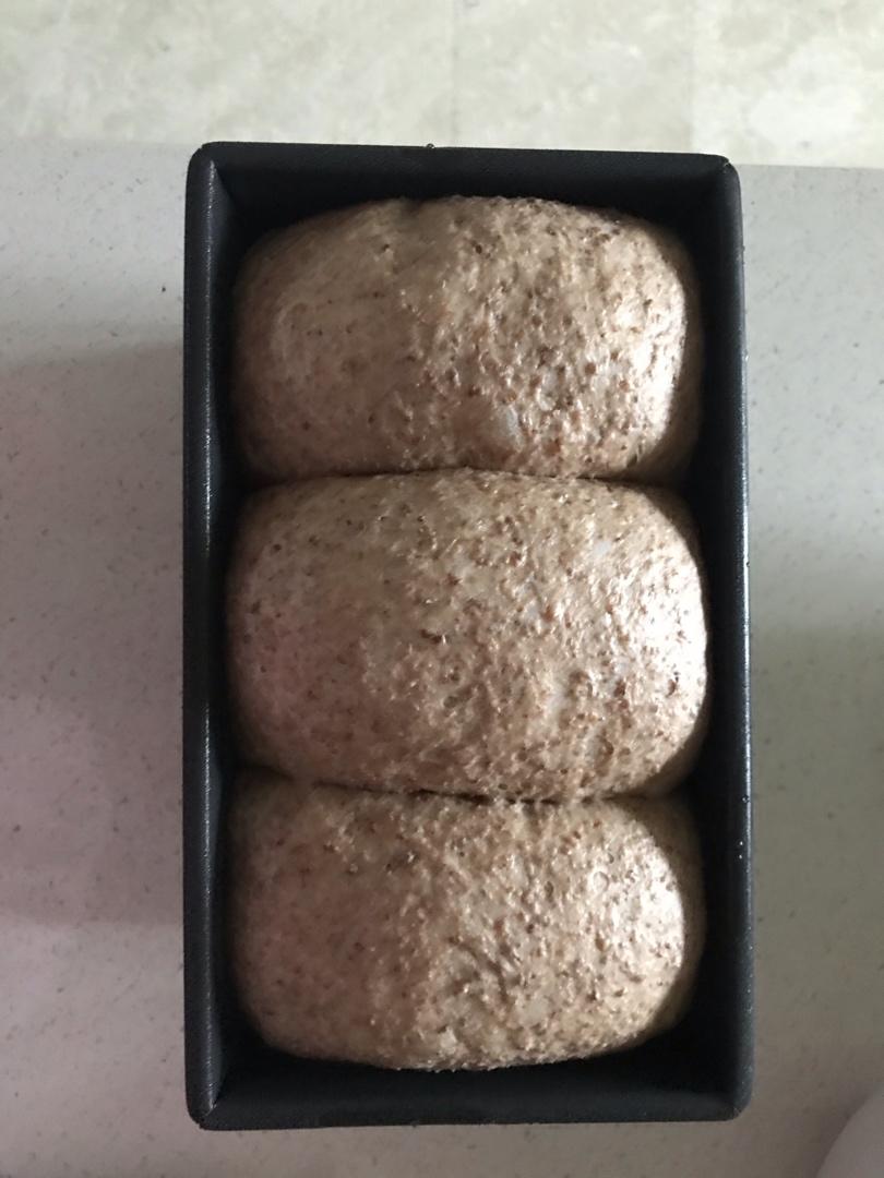 黑麦吐司 70%黑麦 波兰种