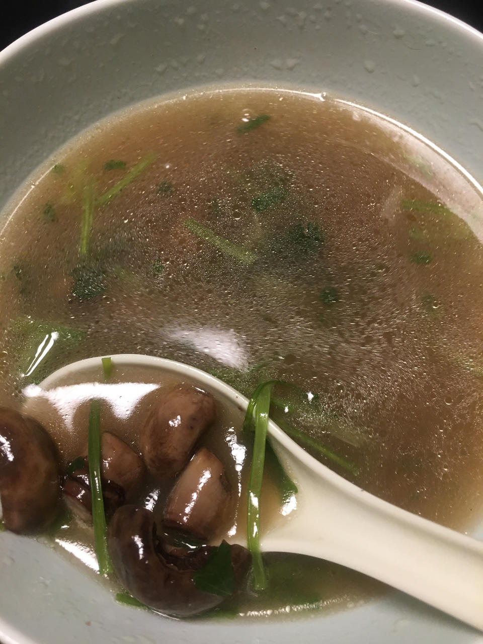 明明是素汤 却鲜得像鸡汤一样的「口蘑汤」