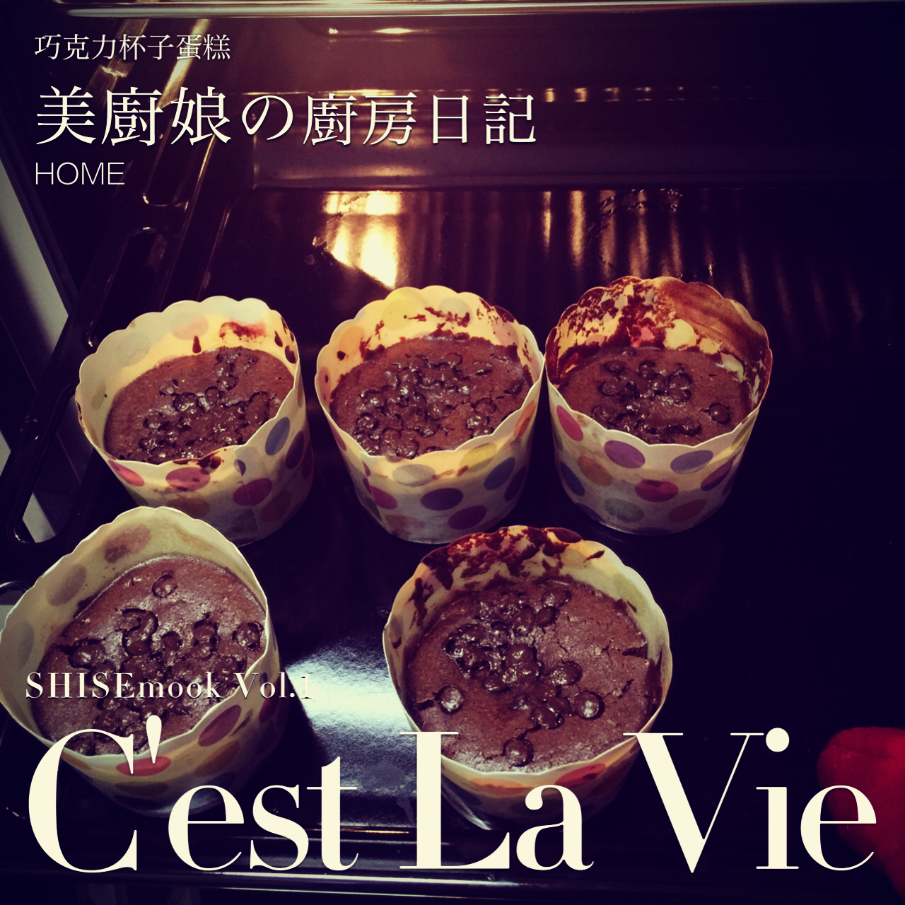 超润巧克力纸杯蛋糕（非常适合裱花、盖糖皮的cupcake方子）