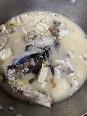 鱼头豆腐汤的做法 步骤4