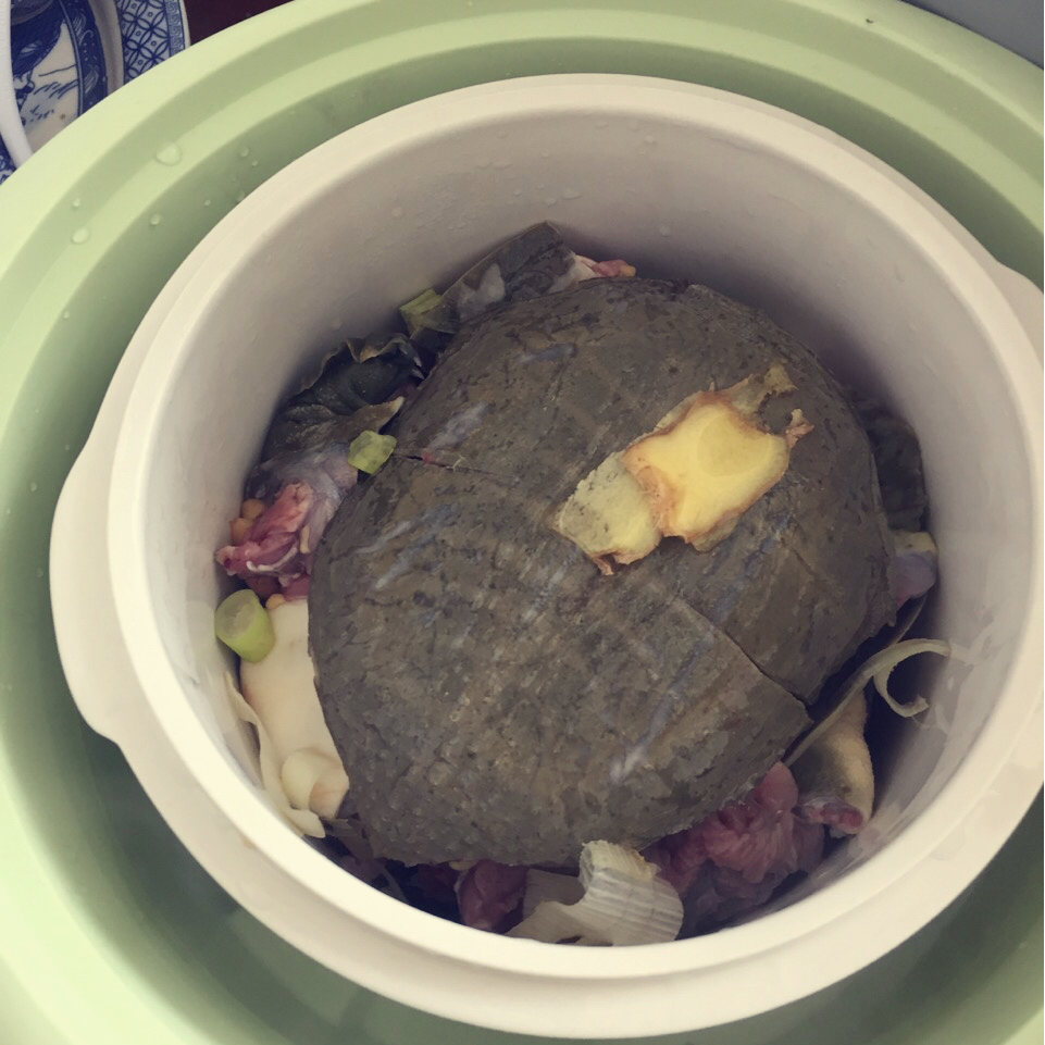 清炖野生甲鱼汤