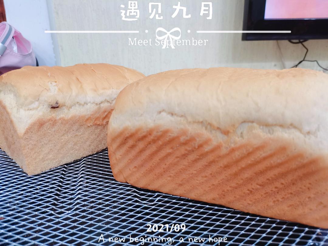 厦门特香包