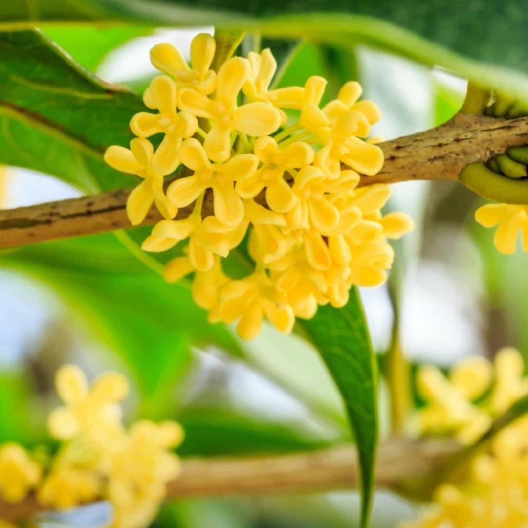 冬日暖阳2357_phm7