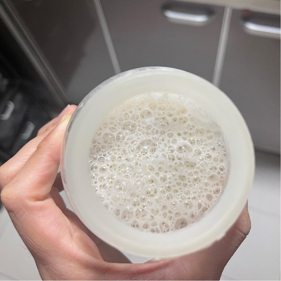 野生酵母之香蕉酵母