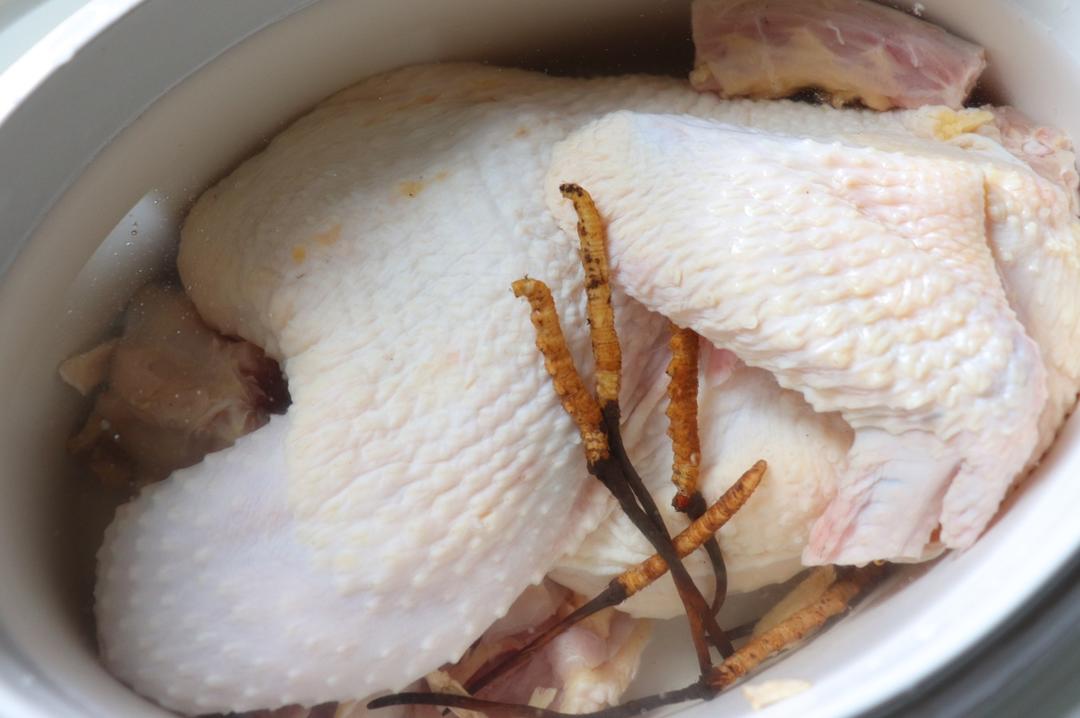 藏红花冬虫夏草炖鸡汤