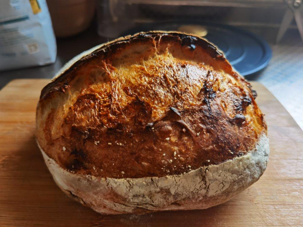 天然酵种鲁邦种硬欧包Sourdough Bread