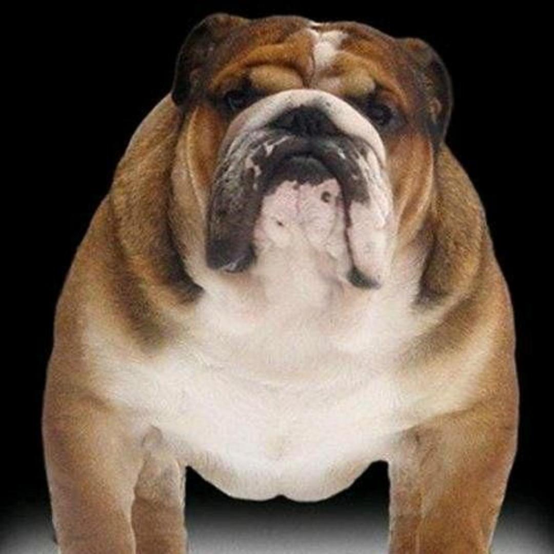 朋友别问我是谁