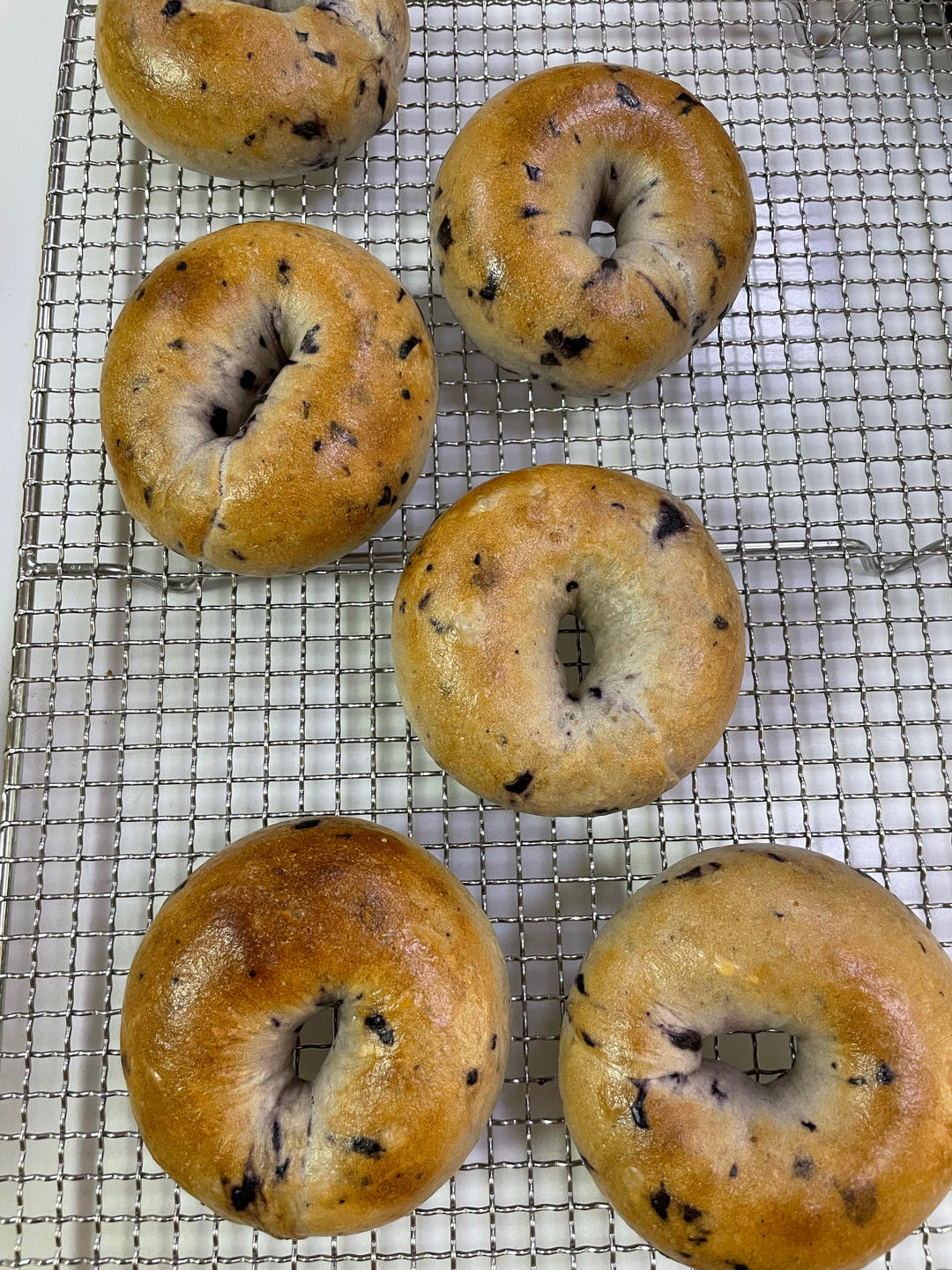 蓝莓乳酪贝果🥯越嚼越香🔥这个配方绝了