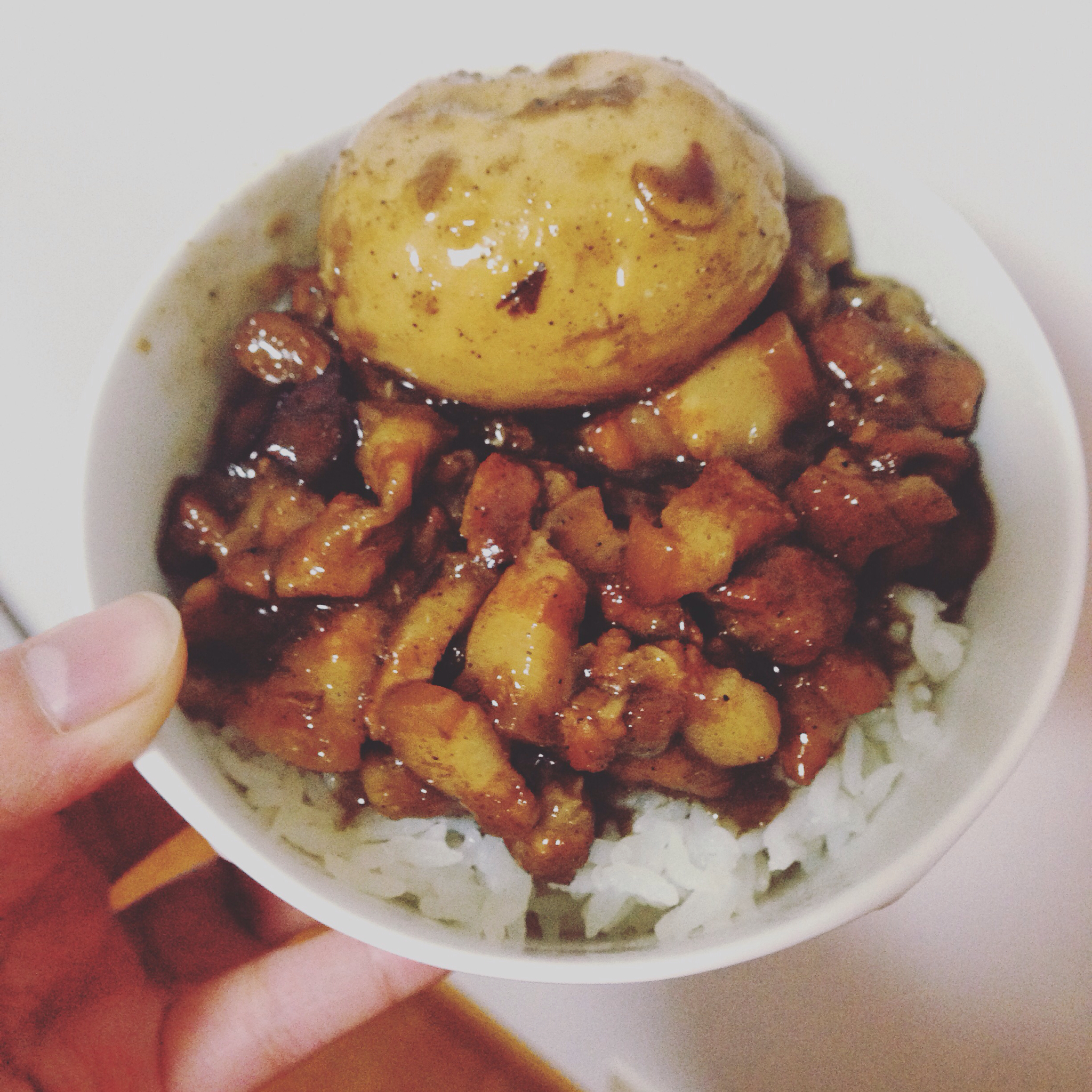 rainbowfish做的一碗高颜值有内涵的台湾卤肉饭