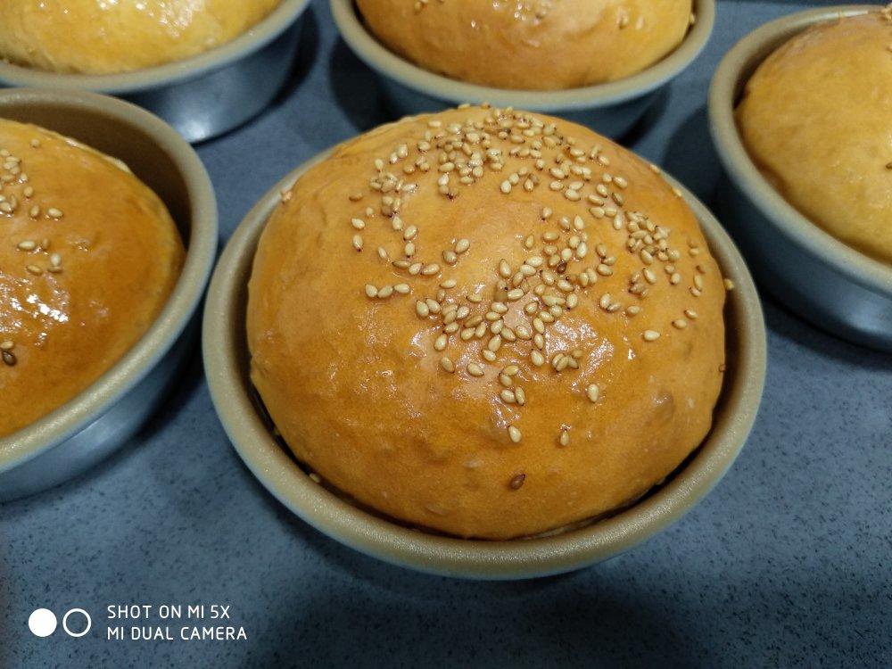 汉堡胚 poolish（波兰种）