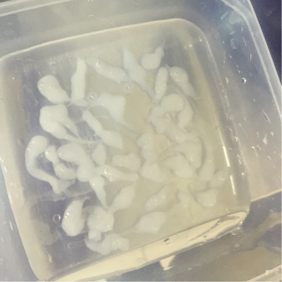 消暑利器--方便快手的娃娃鱼