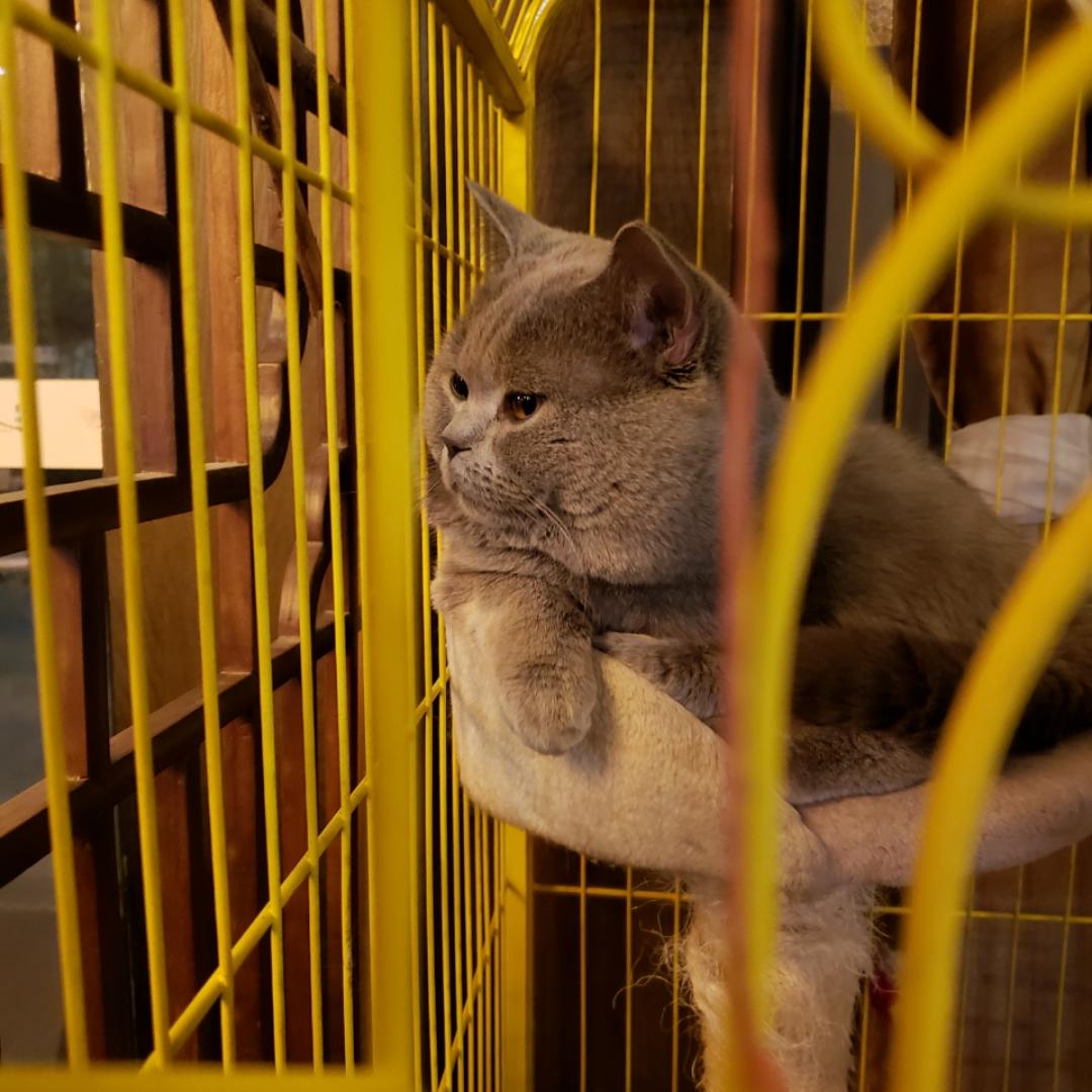 会做饭的独行侠