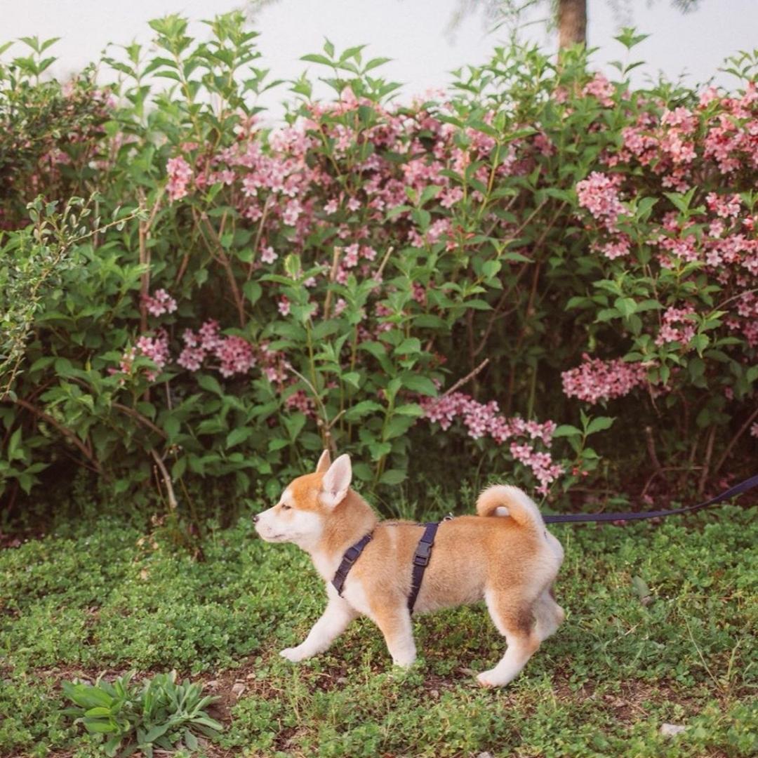 吃好喝好无忧无虑