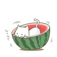 西瓜和哈密瓜的夏天