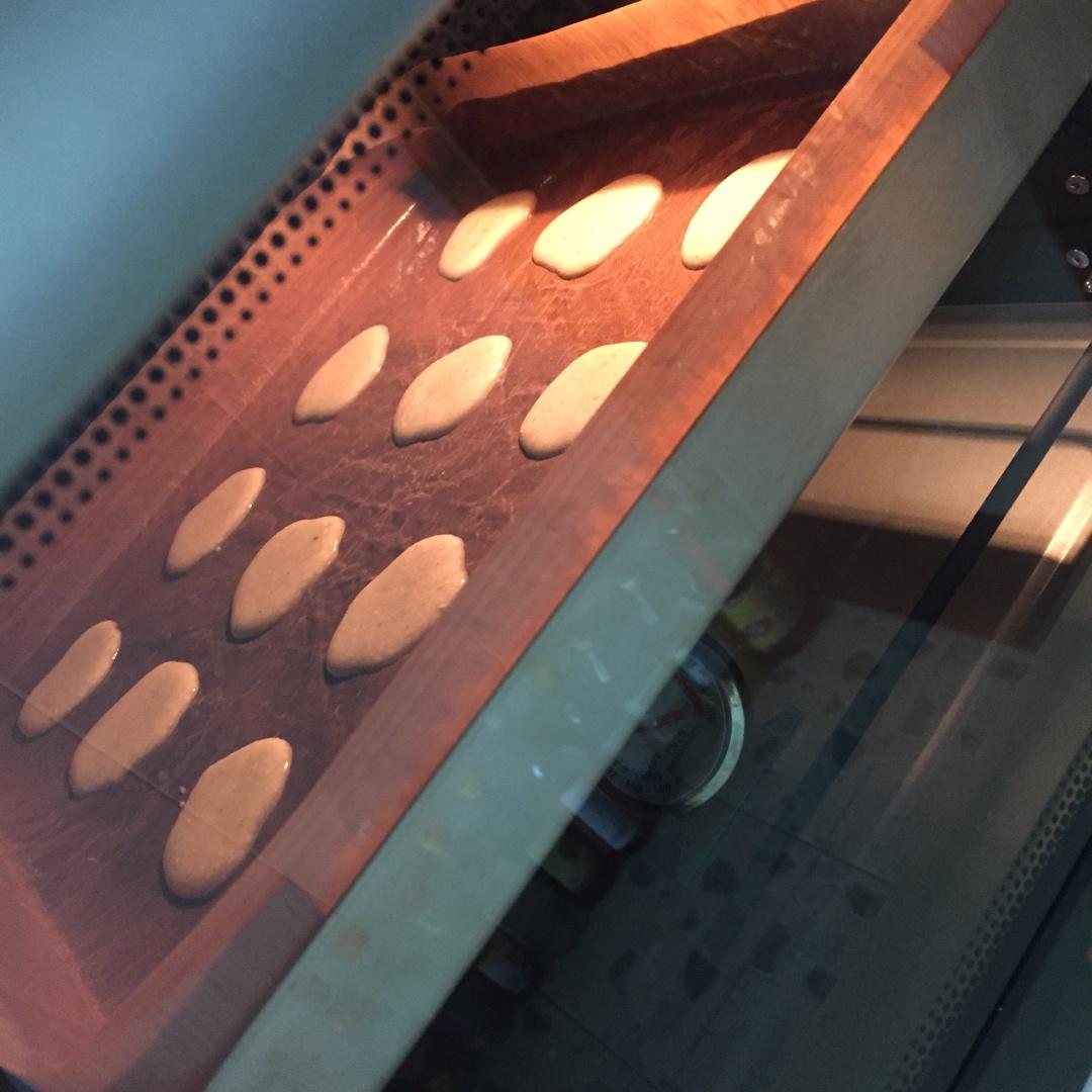 芝麻薄脆蛋白饼干