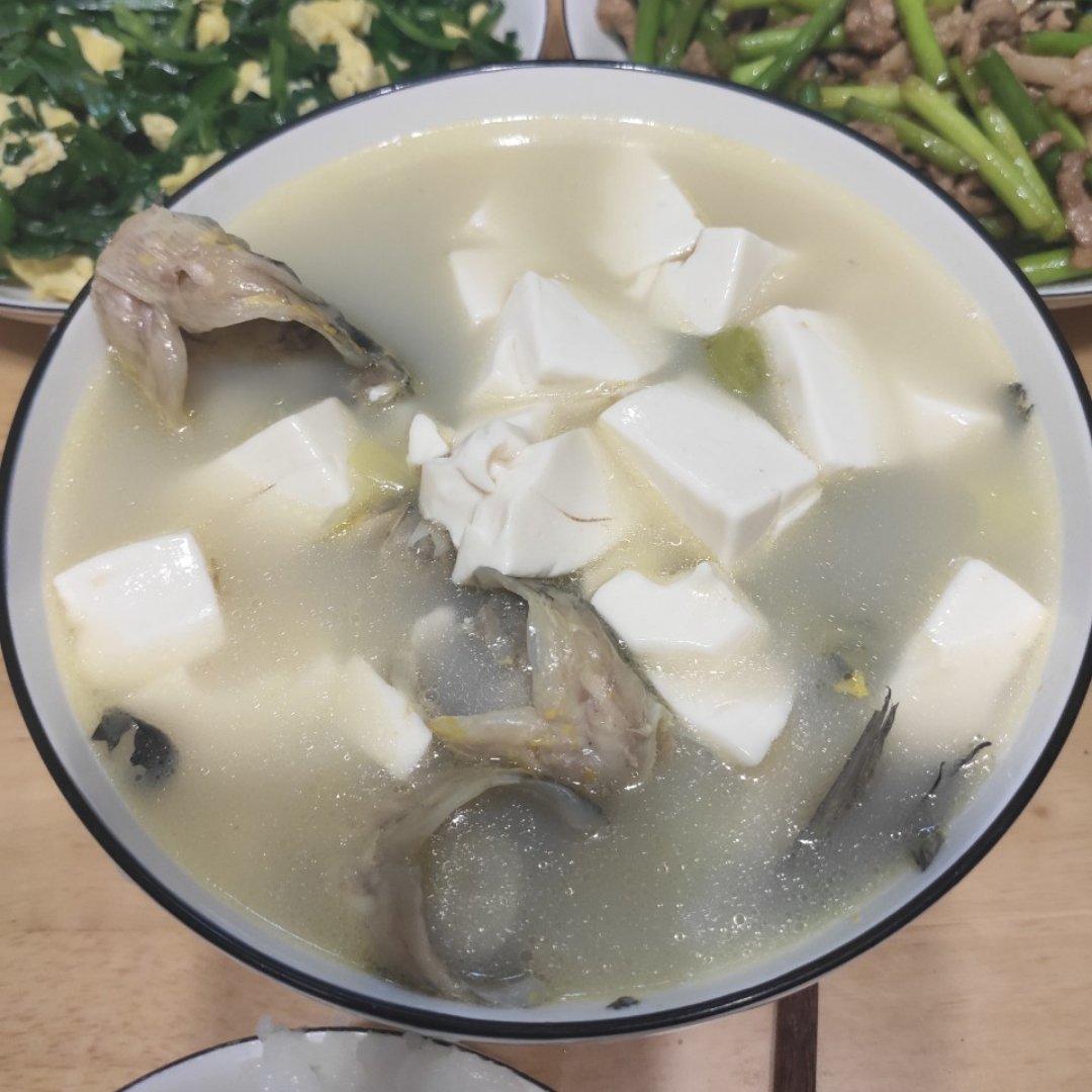 奶白刺昂鱼豆腐汤