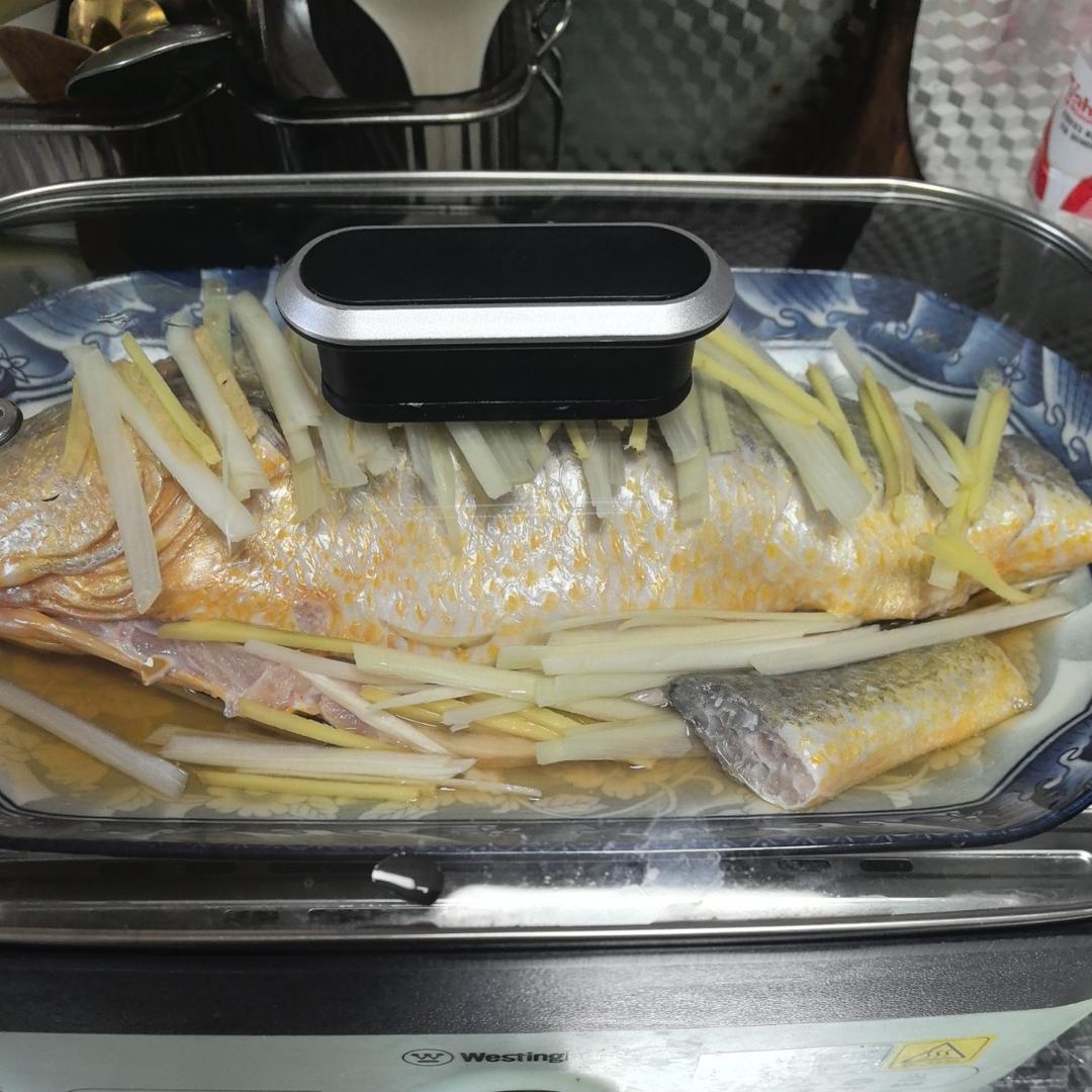 鲜香美味的清蒸大黄鱼！