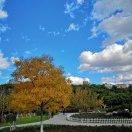 想学做饭的美食家