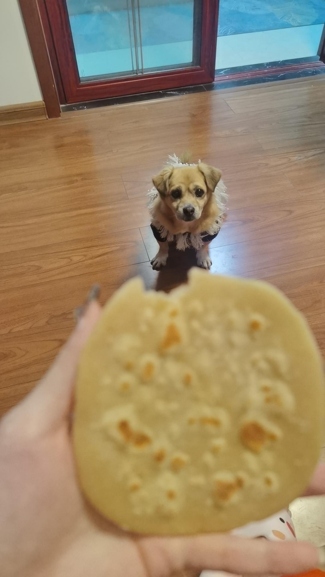 快速烫面饼